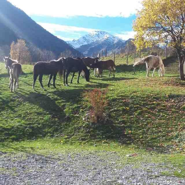 ארניואה Les Chalets D'Aure. מראה חיצוני תמונה